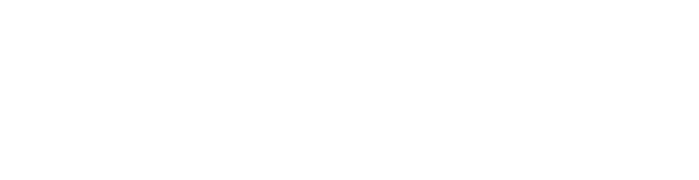 Logo print blanc Logo print blanc
