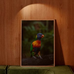 Affiches par Envies Vagabondes